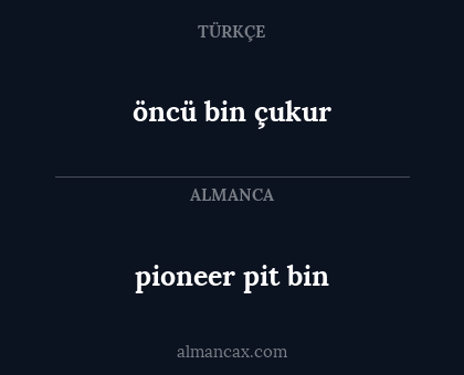 pioneer pit bin - öncü bin çukur