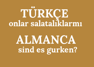 onlar+salatal%C4%B1klarm%C4%B1-sind+es+gurken%3F.png