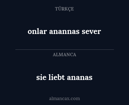 onlar anannas sever - sie liebt ananas