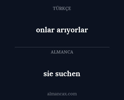 sie suchen - onlar arıyorlar