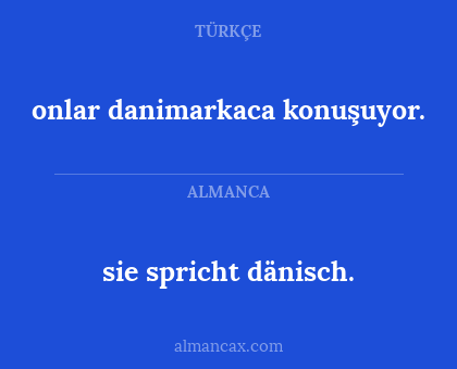 sie spricht dänisch. - onlar danimarkaca konuşuyor.