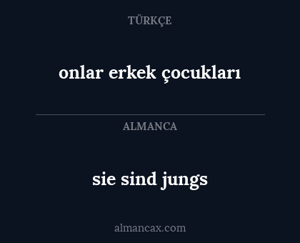 sie sind jungs - onlar erkek çocukları