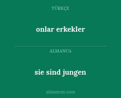 sie sind jungen - onlar erkekler