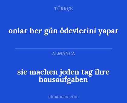 sie machen jeden tag ihre hausaufgaben - onlar her gün ödevlerini yapar