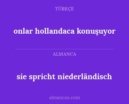 sie spricht niederländisch - onlar hollandaca konuşuyor