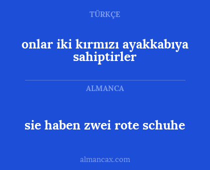 sie haben zwei rote schuhe - onlar iki kırmızı ayakkabıya sahiptirler