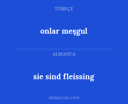 onlar meşgul - sie sind fleissing