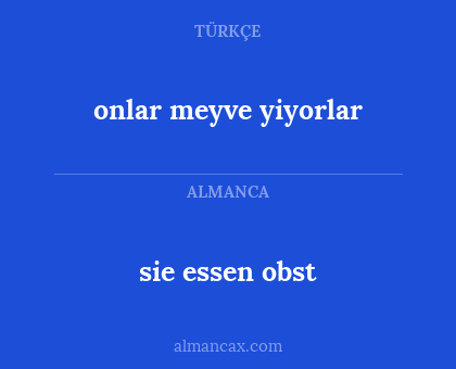 onlar meyve yiyorlar - sie essen obst