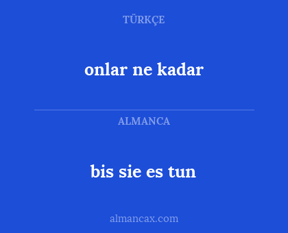 bis sie es tun - onlar ne kadar