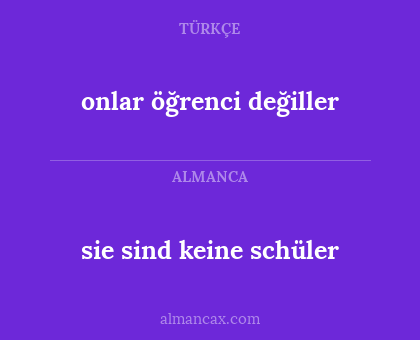 sie sind keine schüler - onlar öğrenci değiller