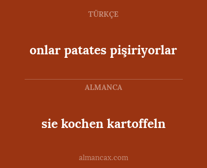 onlar patates pişiriyorlar - sie kochen kartoffeln