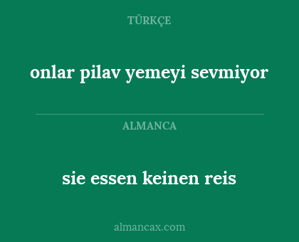 sie essen keinen reis - onlar pilav yemeyi sevmiyor