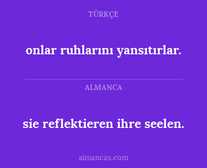 sie reflektieren ihre seelen. - onlar ruhlarını yansıtırlar.