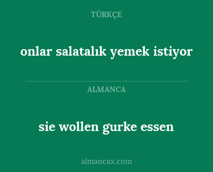 sie wollen gurke essen - onlar salatalık yemek istiyor