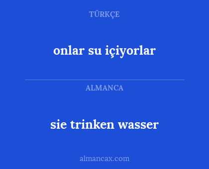 sie trinken wasser - onlar su içiyorlar