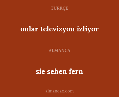 sie sehen fern - onlar televizyon izliyor