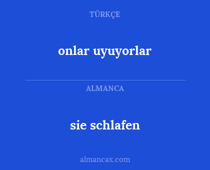 onlar uyuyorlar - sie schlafen