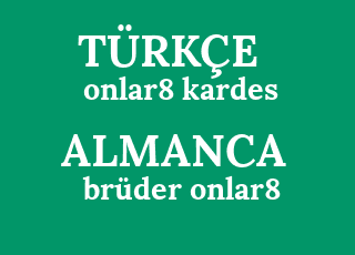 onlar8+kardes-br%C3%BCder+onlar8.png