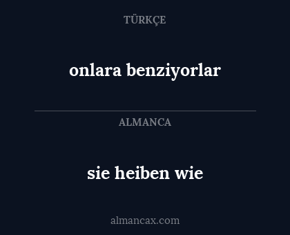 sie heiben wie - onlara benziyorlar