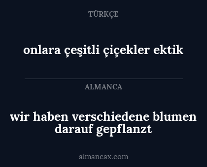 wir haben verschiedene blumen darauf gepflanzt - onlara çeşitli çiçekler ektik