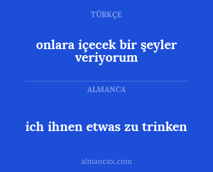 ich ihnen etwas zu trinken - onlara içecek bir şeyler veriyorum