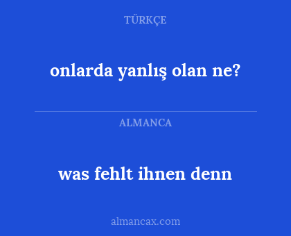 onlarda yanlış olan ne? - was fehlt ihnen denn