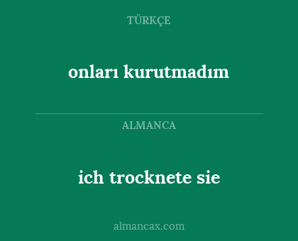 ich trocknete sie - onları kurutmadım