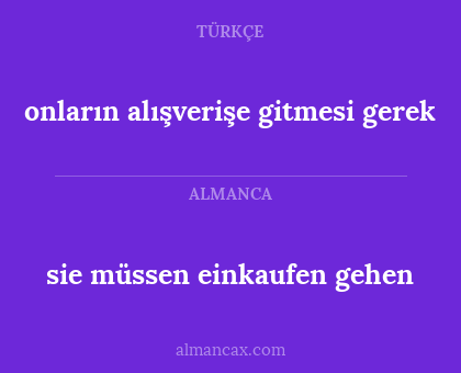 sie müssen einkaufen gehen - onların alışverişe gitmesi gerek