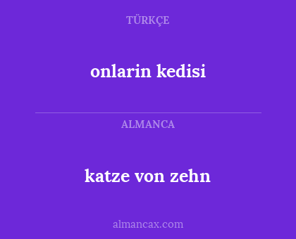onlarin kedisi - katze von zehn