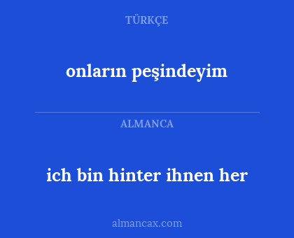 ich bin hinter ihnen her - onların peşindeyim