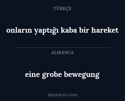 eine grobe bewegung - onların yaptığı kaba bir hareket