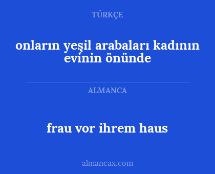 frau vor ihrem haus - onların yeşil arabaları kadının evinin önünde