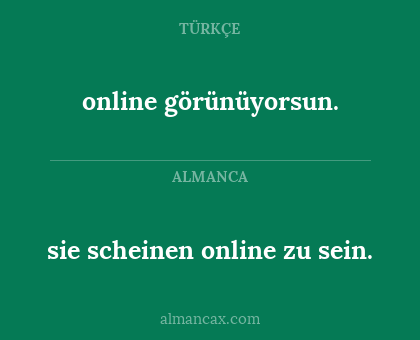 sie scheinen online zu sein. - online görünüyorsun.