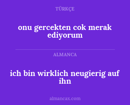 ich bin wirklich neugierig auf ihn - onu gercekten cok merak ediyorum