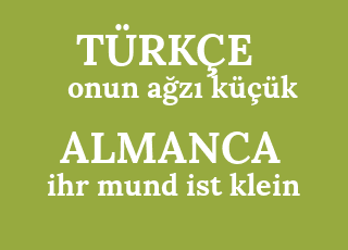 onun+a%C4%9Fz%C4%B1+k%C3%BC%C3%A7%C3%BCk-ihr+mund+ist+klein.png