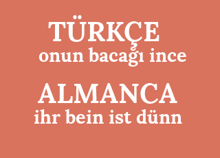 onun+baca%C4%9F%C4%B1+ince-ihr+bein+ist+d%C3%BCnn.png
