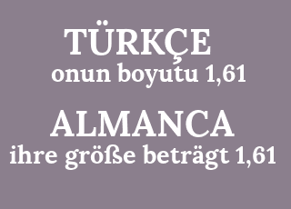 onun+boyutu+1%2C61-ihre+gr%C3%B6%C3%9Fe+betr%C3%A4gt+1%2C61.png