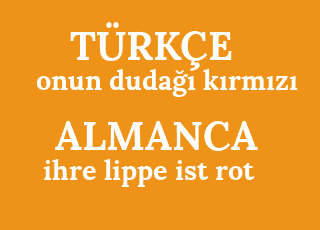 onun+duda%C4%9F%C4%B1+k%C4%B1rm%C4%B1z%C4%B1-ihre+lippe+ist+rot.png