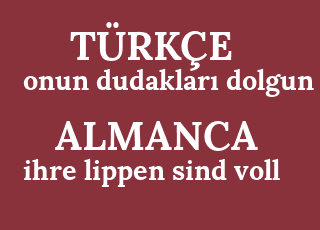 onun+dudaklar%C4%B1+dolgun-ihre+lippen+sind+voll.png