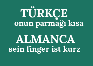 onun+parma%C4%9F%C4%B1+k%C4%B1sa-sein+finger+ist+kurz.png
