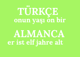 onun+ya%C5%9F%C4%B1+on+bir-er+ist+elf+jahre+alt.png