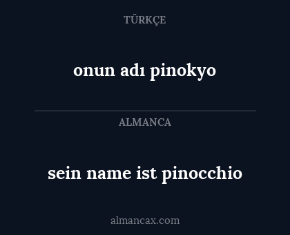 sein name ist pinocchio - onun adı pinokyo