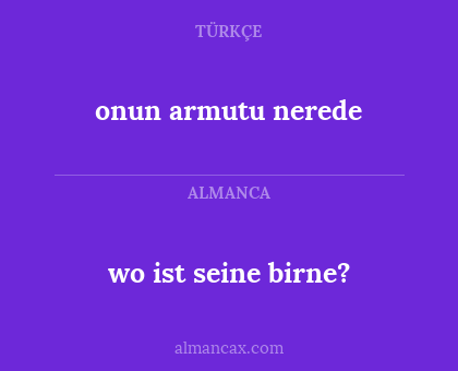 onun armutu nerede - wo ist seine birne?