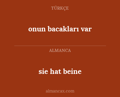 onun bacakları var - sie hat beine