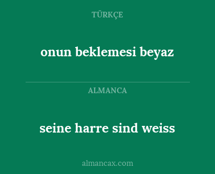 onun beklemesi beyaz - seine harre sind weiss