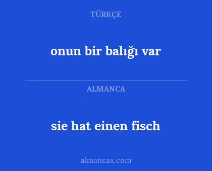 sie hat einen fisch - onun bir balığı var