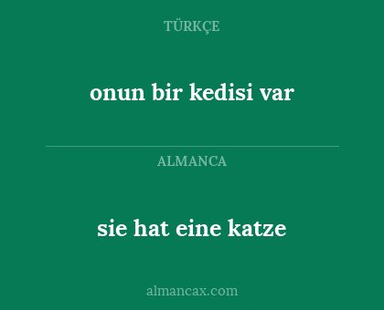 onun bir kedisi var - sie hat eine katze