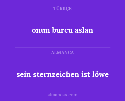 sein sternzeichen ist löwe - onun burcu aslan