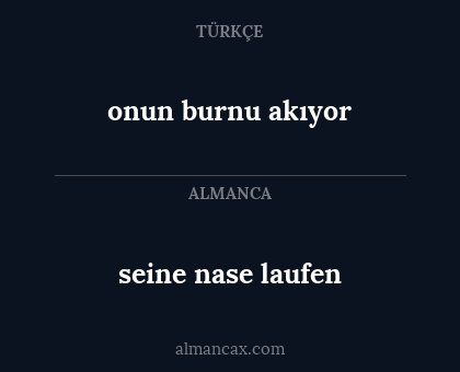 seine nase laufen - onun burnu akıyor