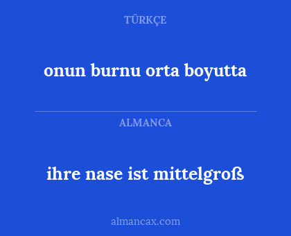 onun burnu orta boyutta - ihre nase ist mittelgroß